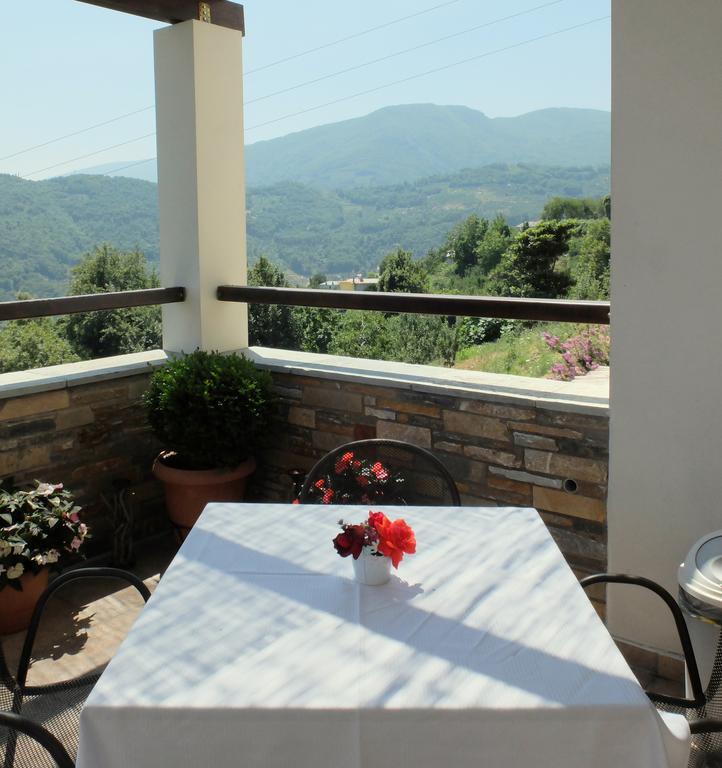 Guesthouse Kapaniaris Zagorá Kültér fotó