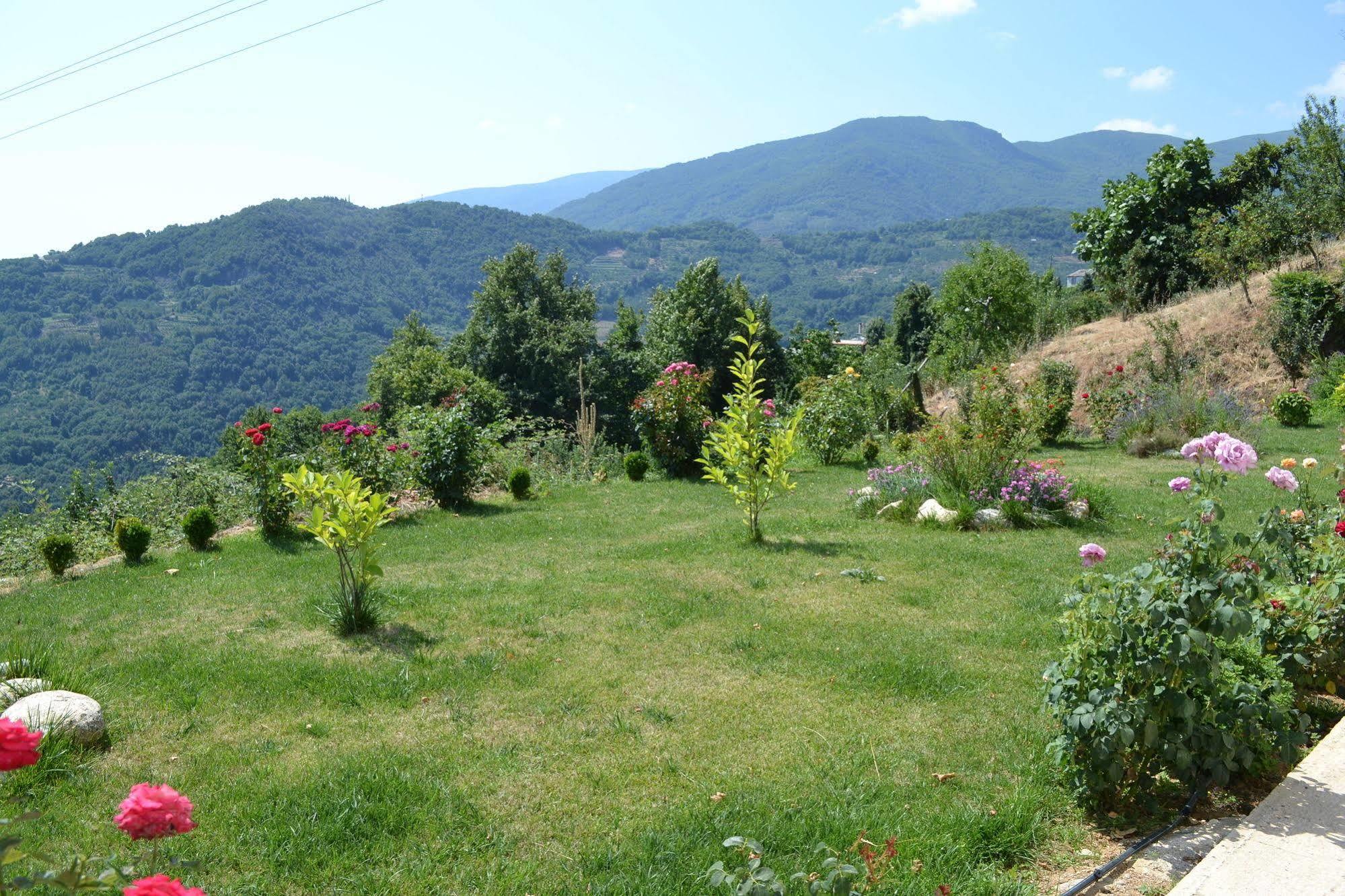 Guesthouse Kapaniaris Zagorá Kültér fotó